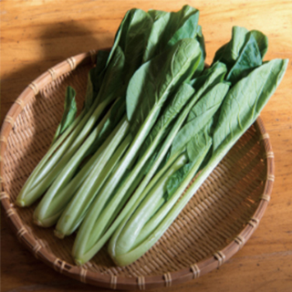 シントリ菜